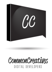 logo_concepts_flare-transparent