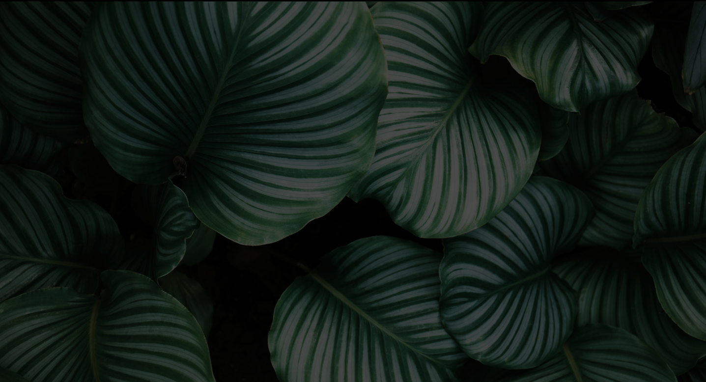 Background image of plants