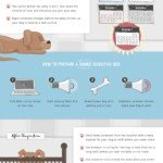 dogpack-infographic