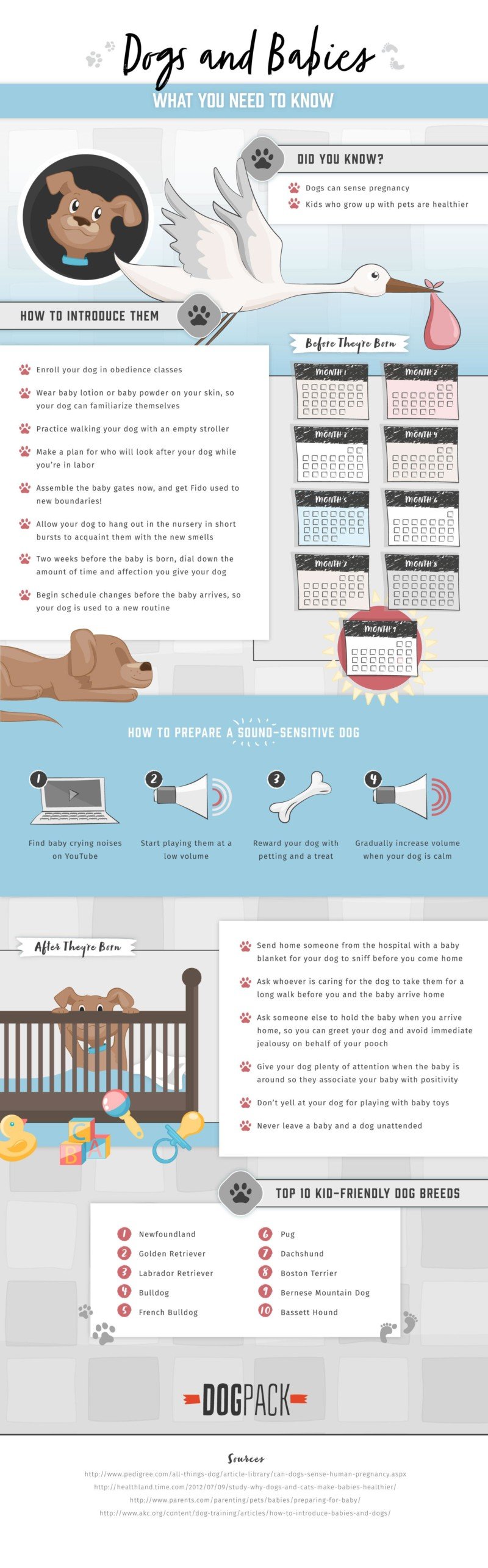 dogpack-infographic