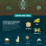 greenfuture-infographic